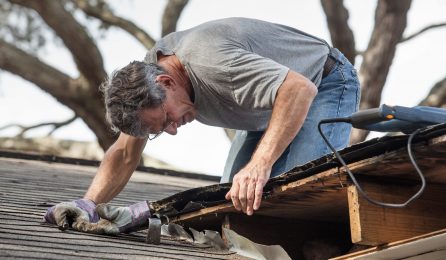 Close,Up,View,Of,Man,Using,Removing,Rotten,Wood,From Close,Up,View,Of,Man,Using,Removing,Rotten,Wood,From